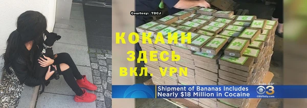 ГАЛЛЮЦИНОГЕННЫЕ ГРИБЫ Балабаново