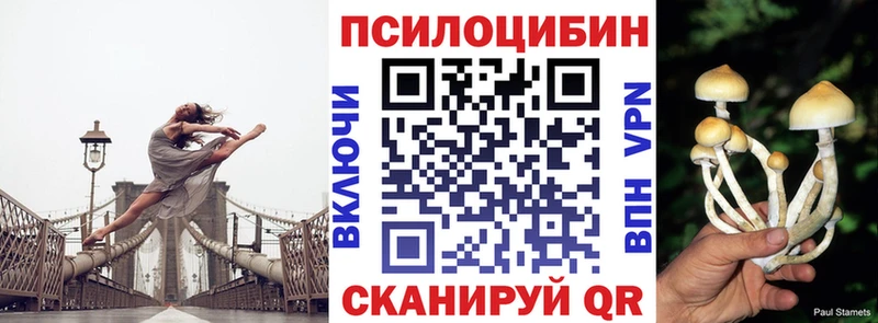 Псилоцибиновые грибы GOLDEN TEACHER цены Лысьва